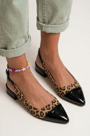 Caqui