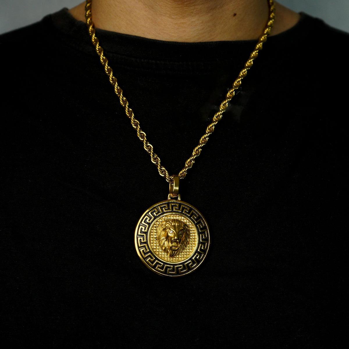 Colgante Medalla Leon Chapada En Oro De 18 K Oro 18K